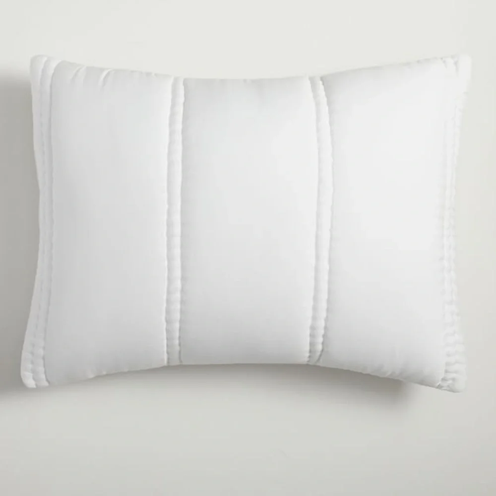 West Elm Silky TENCEL™ Plush Standard Sham in White